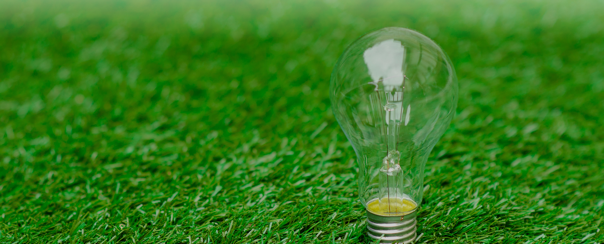 推廣綠色能源產業